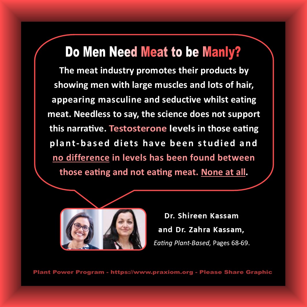 Do Men Need Meat to be Manly? Dr. Shireen Kassam and Dr. Zahra Kassam