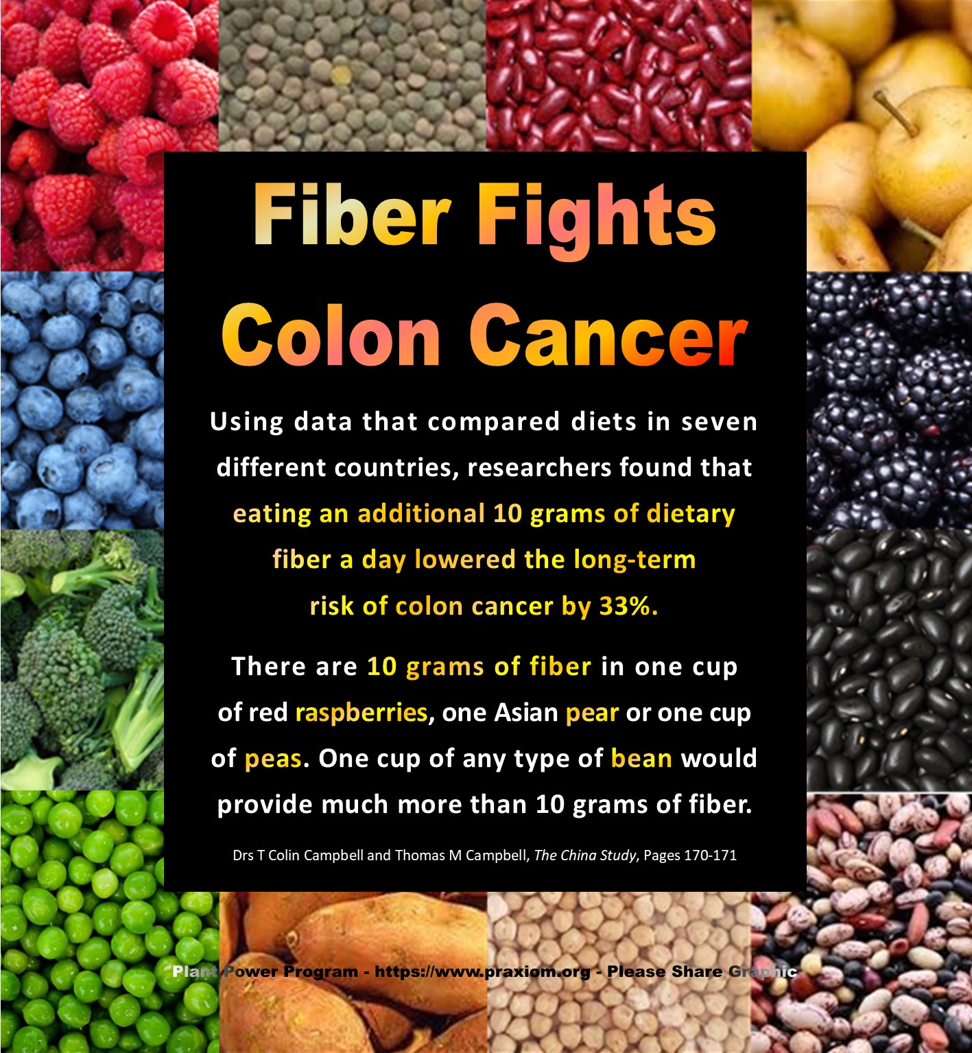 Fiber Fights Colon Cancer - Dr T Colin Campbell
