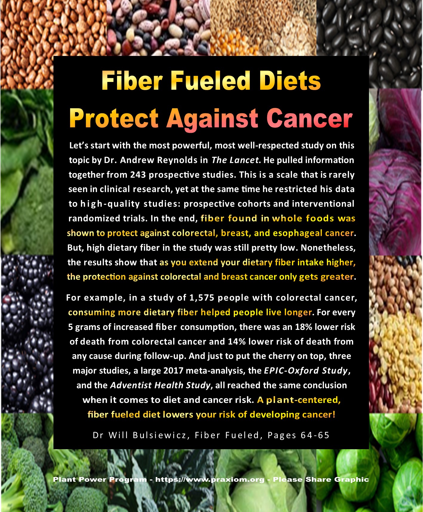 Fiber Fueled Diets Protect Against Cancer - Dr Will Bulsiewicz