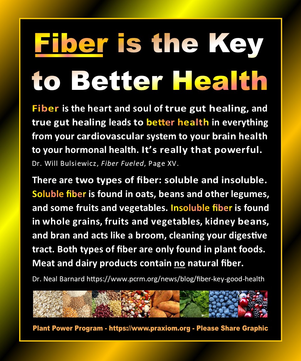 Fiber is the Key to Better Health