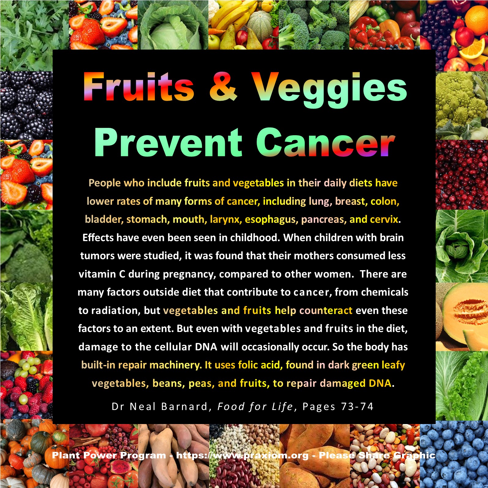 Fruits and Veggies Can Prevent Cancer - Dr. Neal Barnard