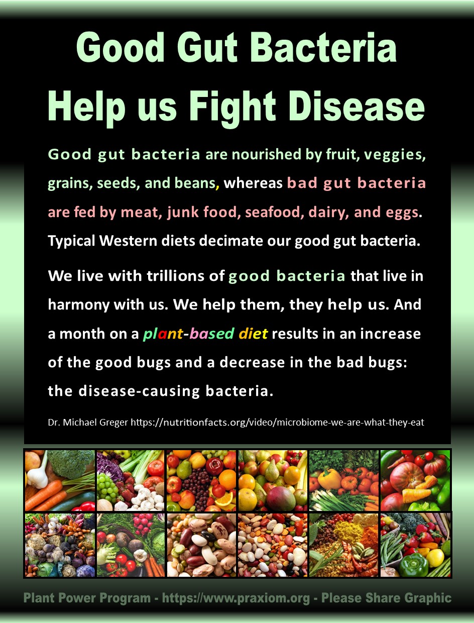 Good Gut Bacteria Fight Disease - Dr. Michael Greger