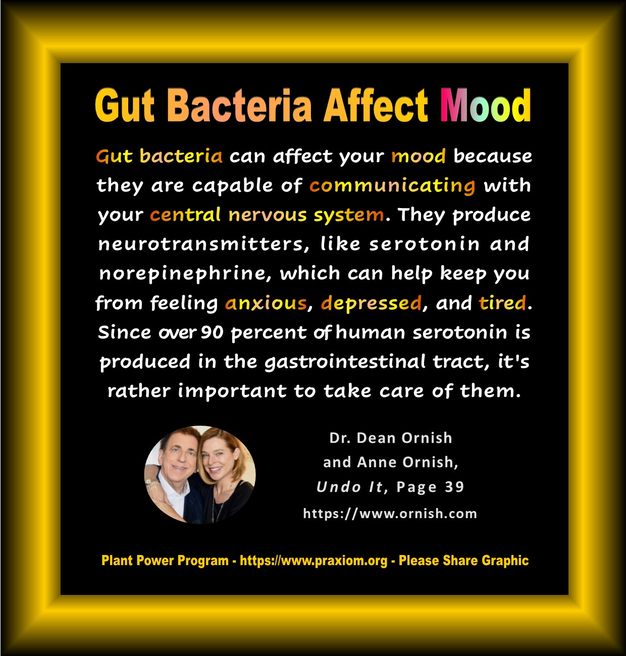 Gut Bacteria Affect Mood - Dr. Dean Ornish