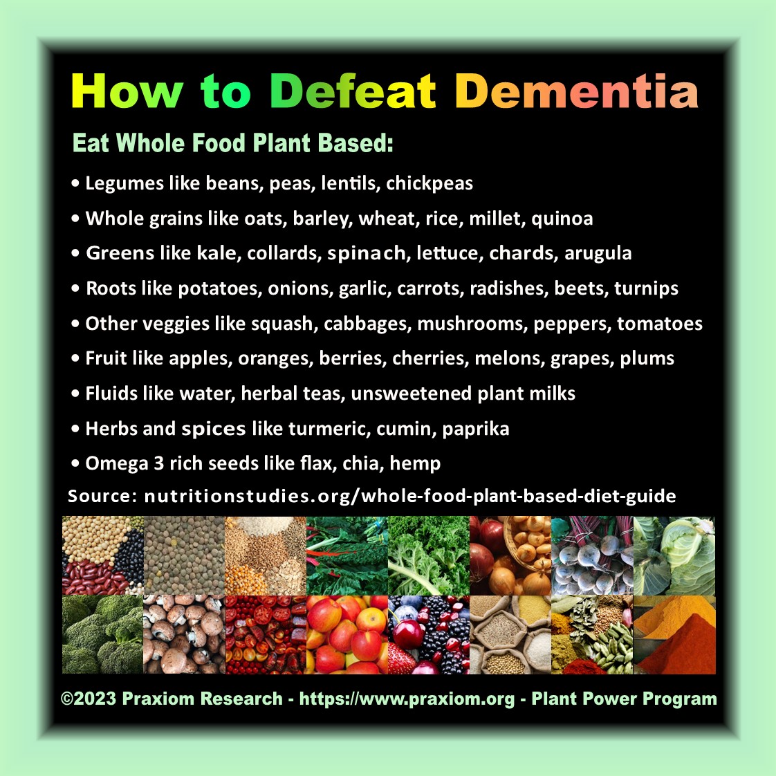 How to Defeat Dementia