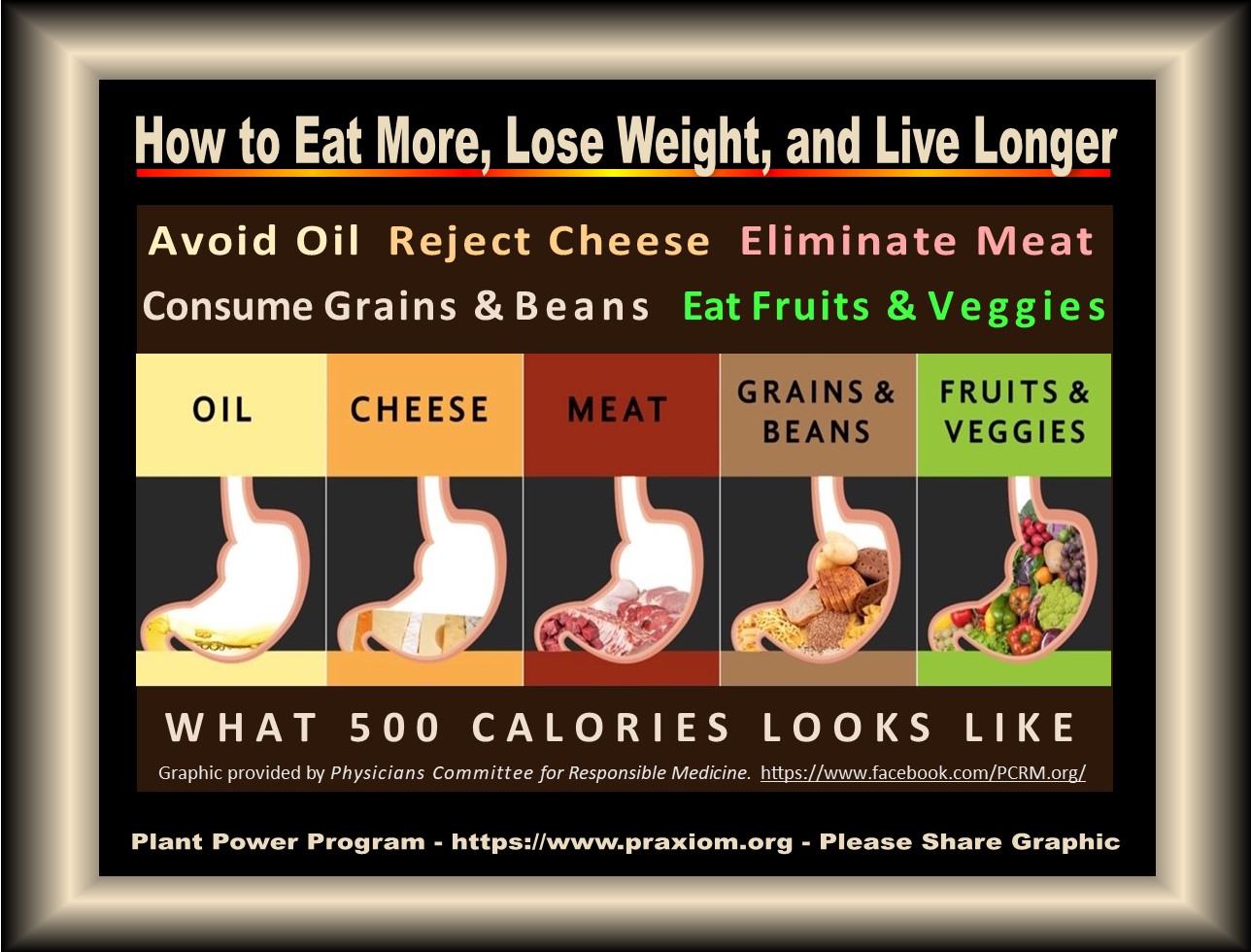 How to eat more lose
        weight and live longer