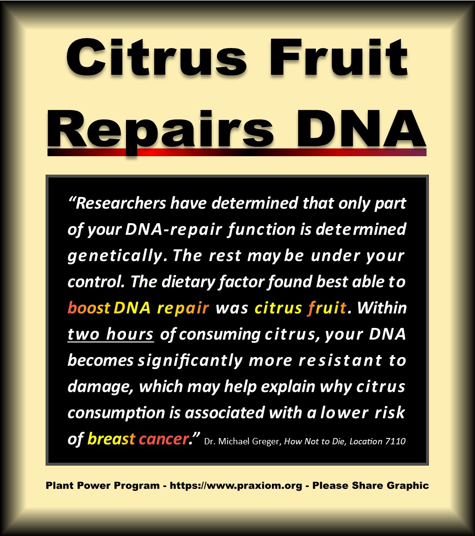 How to Repair DNA
