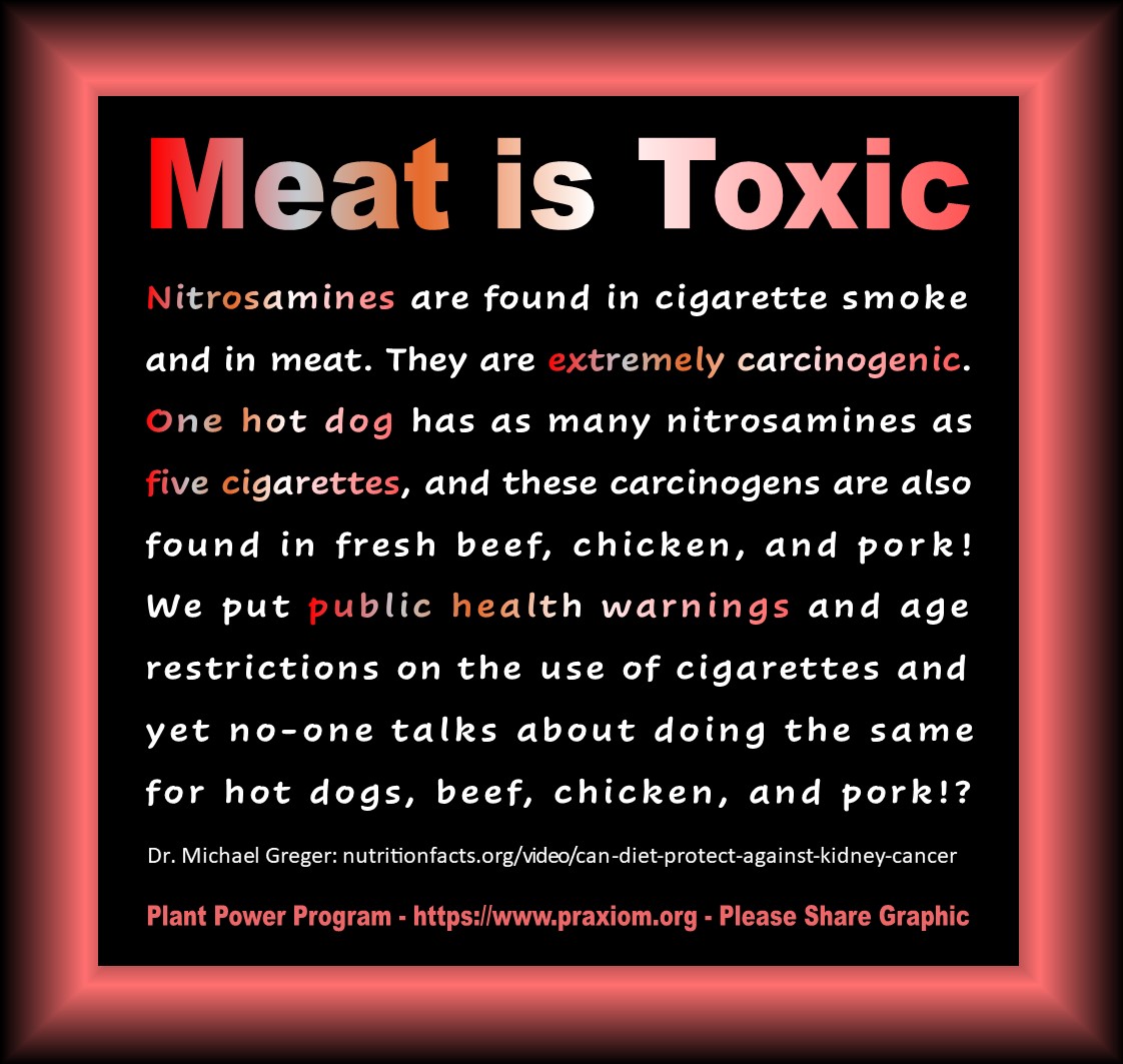 Meat is Toxic