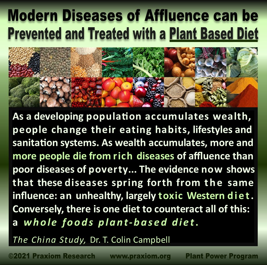 Modern diseases
            can be prevented or treated with a plant based diet