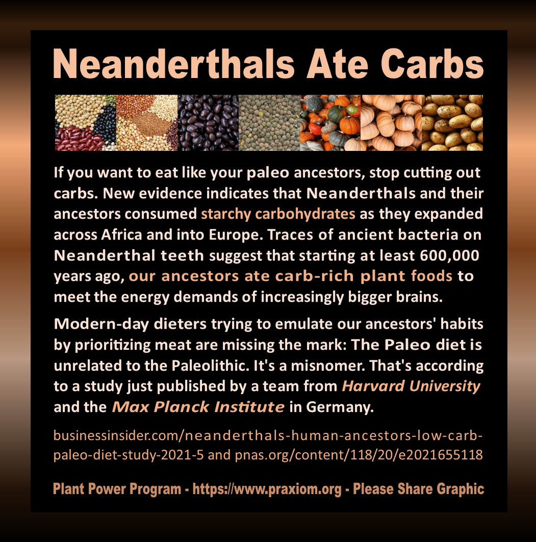 Neanderthals Ate Carbs