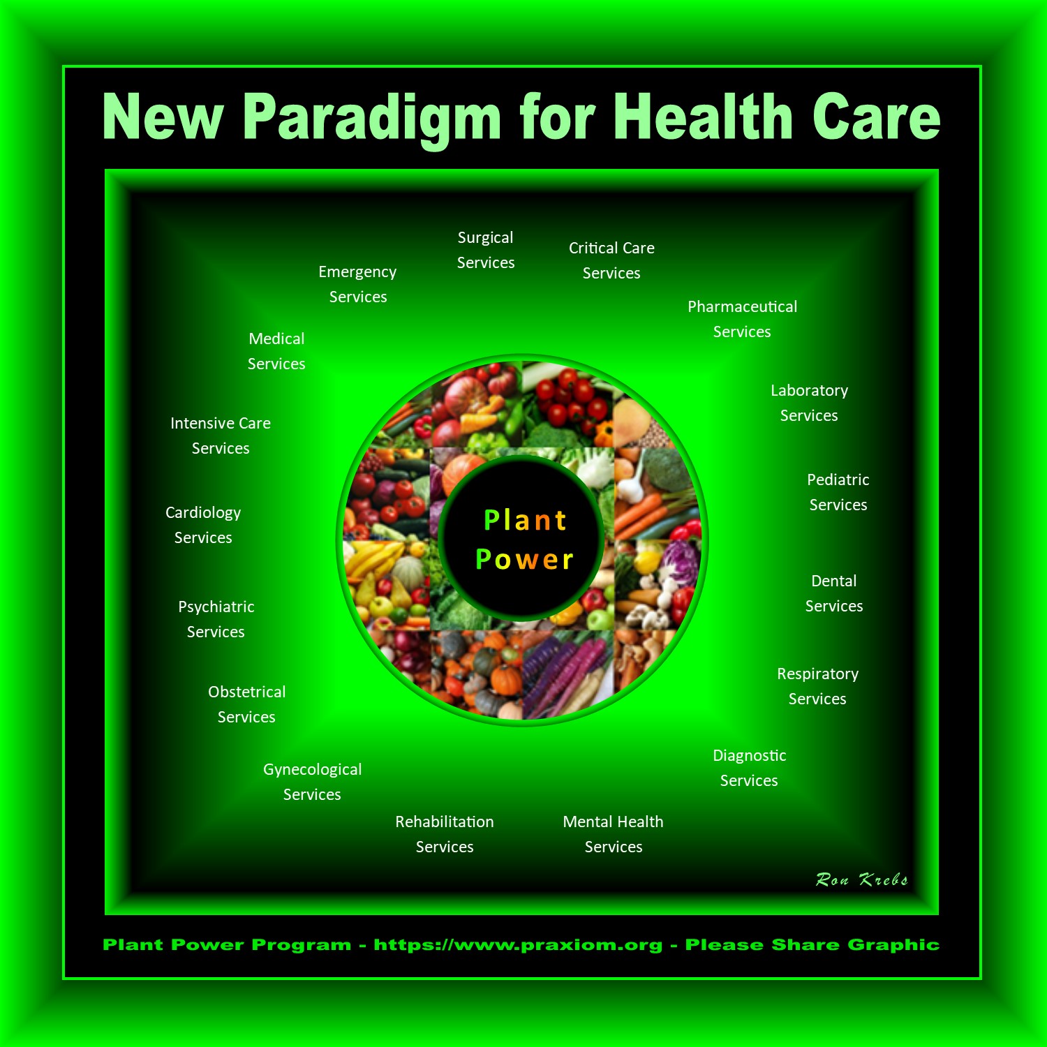 New Paradigm for Health Care Service Delivery - Ron Krebs
