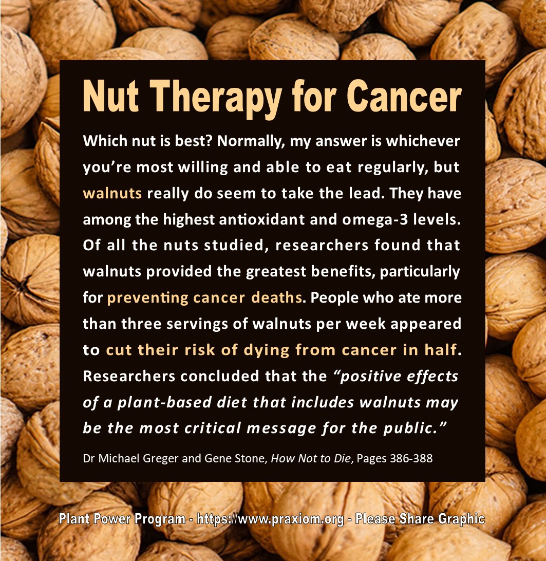 Nut Therapy for Cancer - Dr Michael Greger