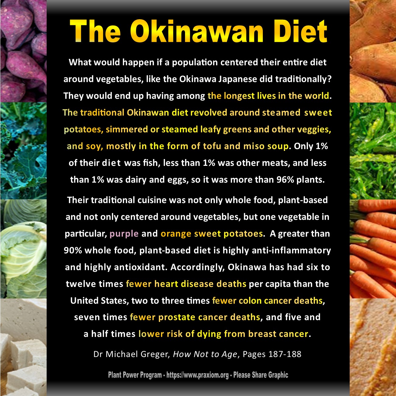 The Okinawan Diet - Dr Michael Greger