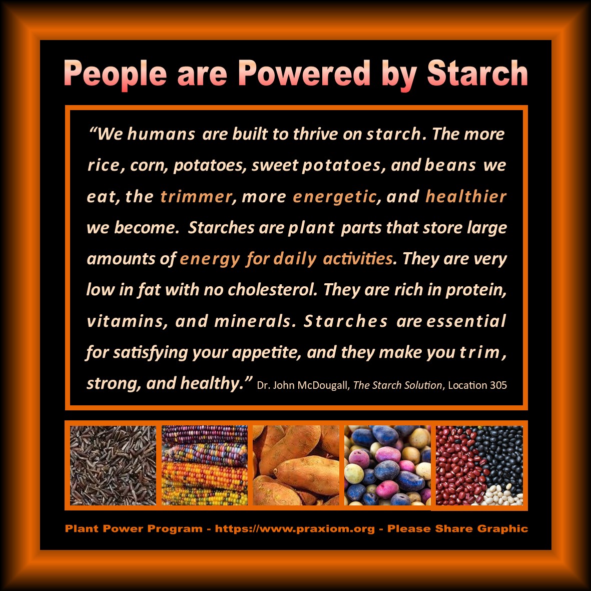 People are Powered
          by Starch