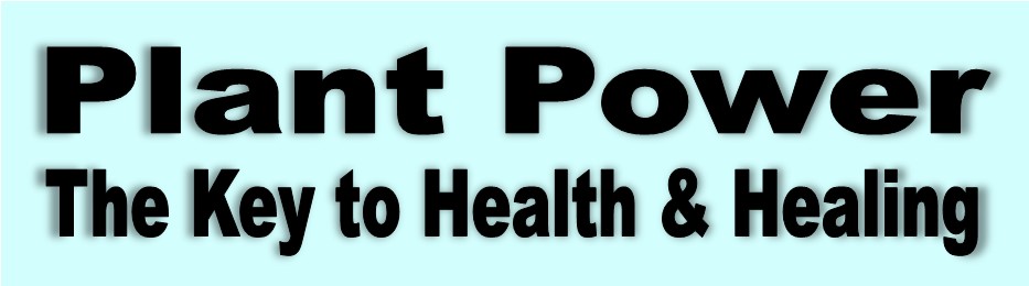Plant Powr - The Key to Health & Healing