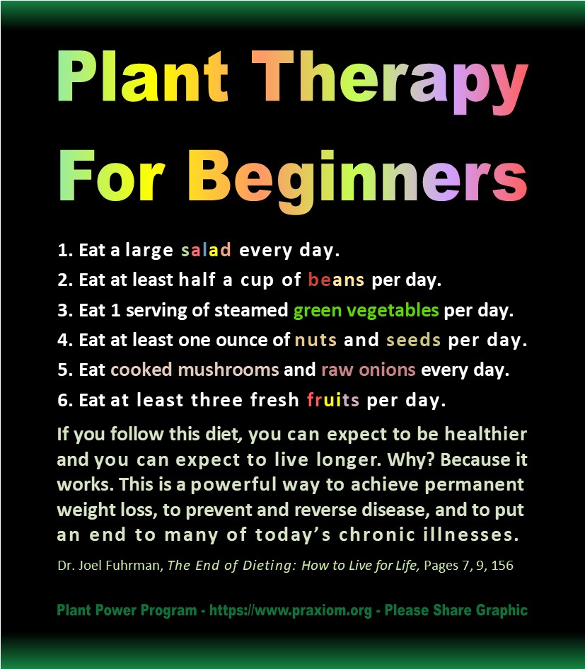 Plant Therapy for Beginners - Dr. Joel Fuhrman