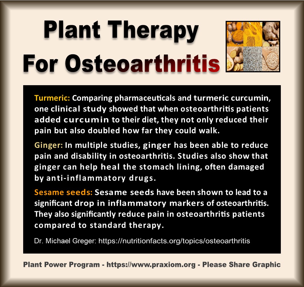 Plant Therapy for Osteoarthritis - Dr. Michael Greger