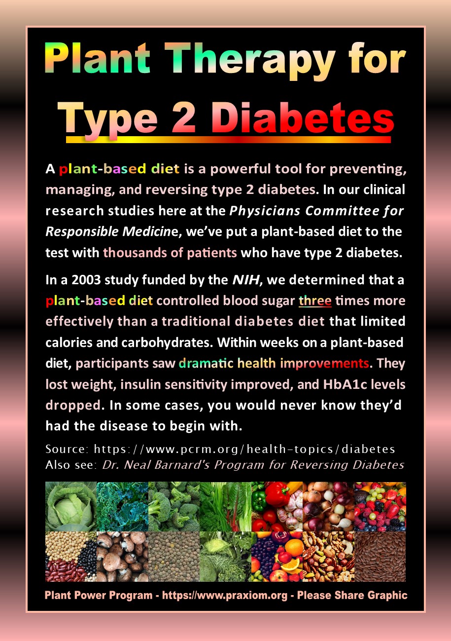 Plant Therapy for Type 2 Diabetes