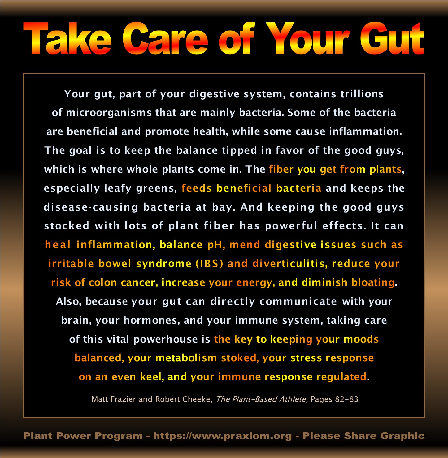 Take Care of Your Gut - Matt Frazier and Robert Cheeke