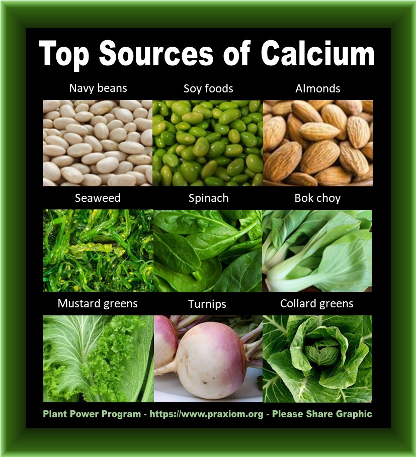 Top Sources of Calcium -
        Ron Krebs