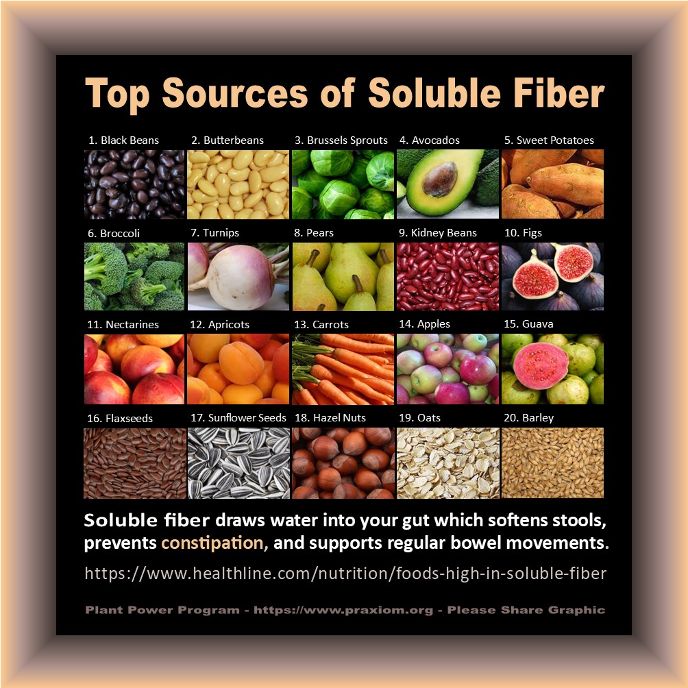 Top Sources of Soluble Fiber