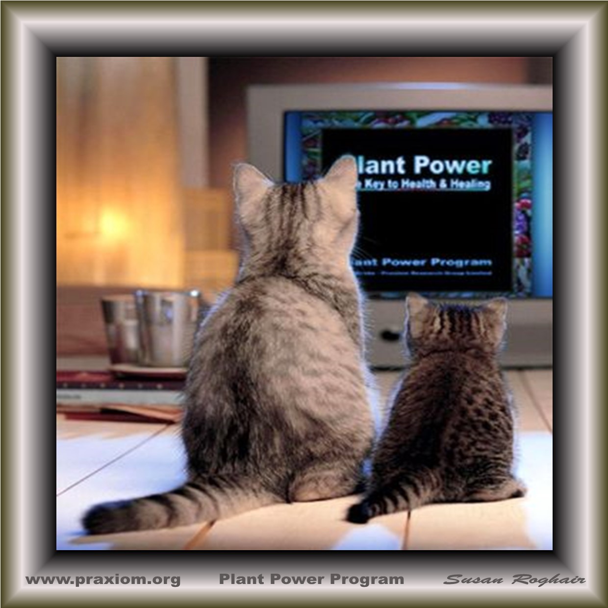 Plant Power Product on TV Screen
