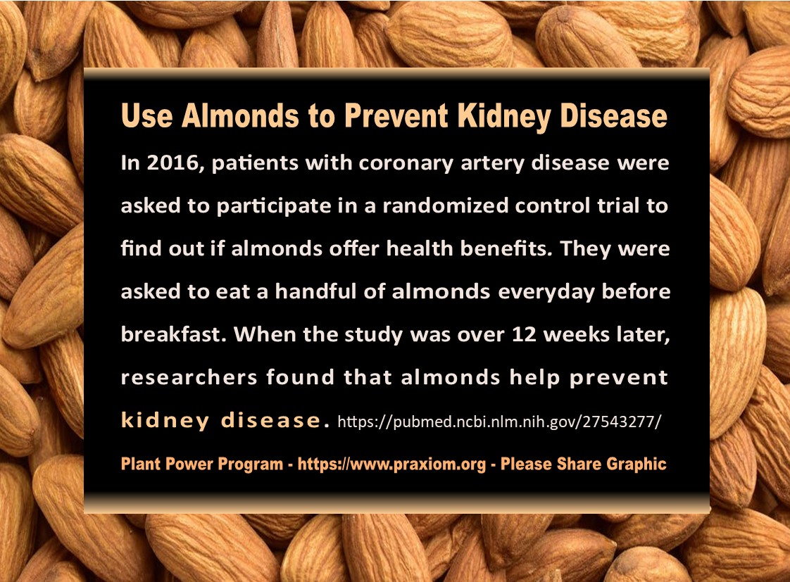 Use
          Almonds to Prevent Kidney Disease