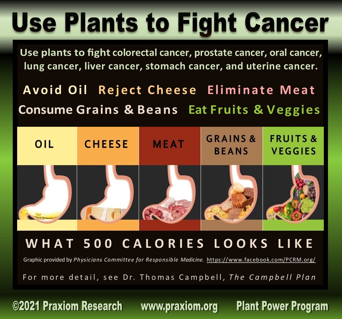 Use Plants to Fight
        Cancer