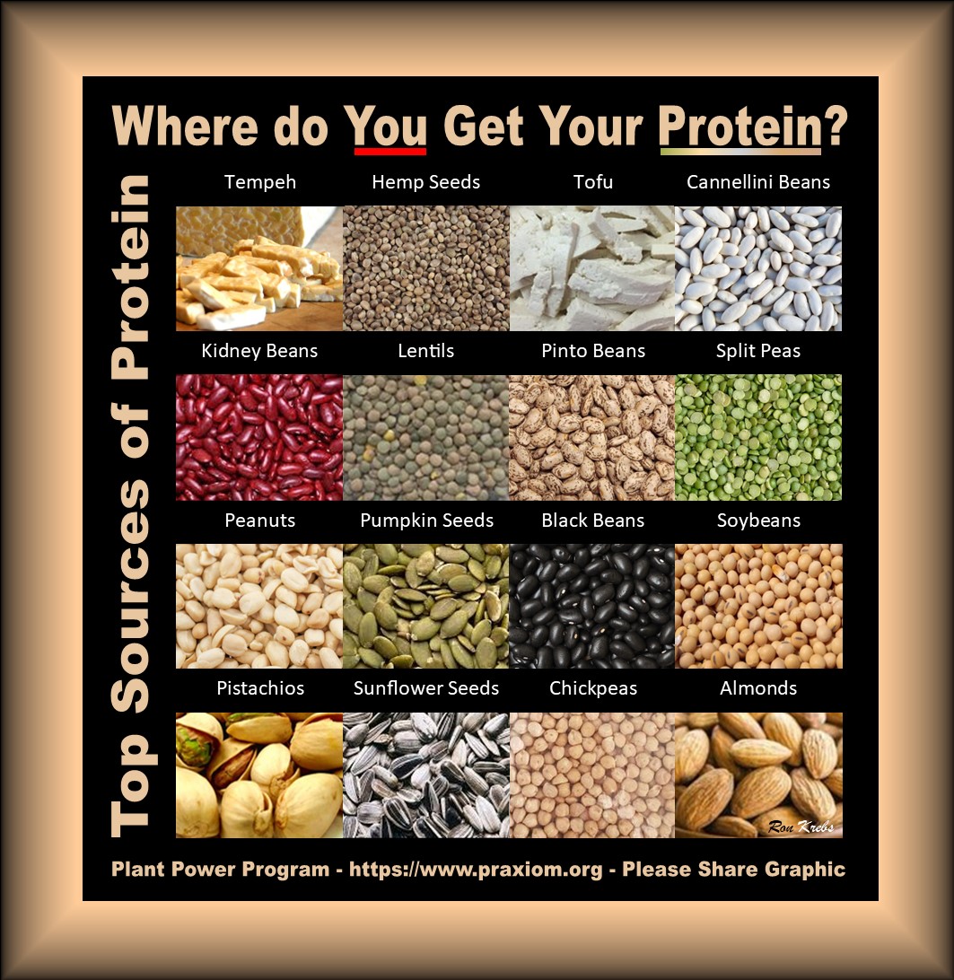 Where do you get your protein - Ron Krebs