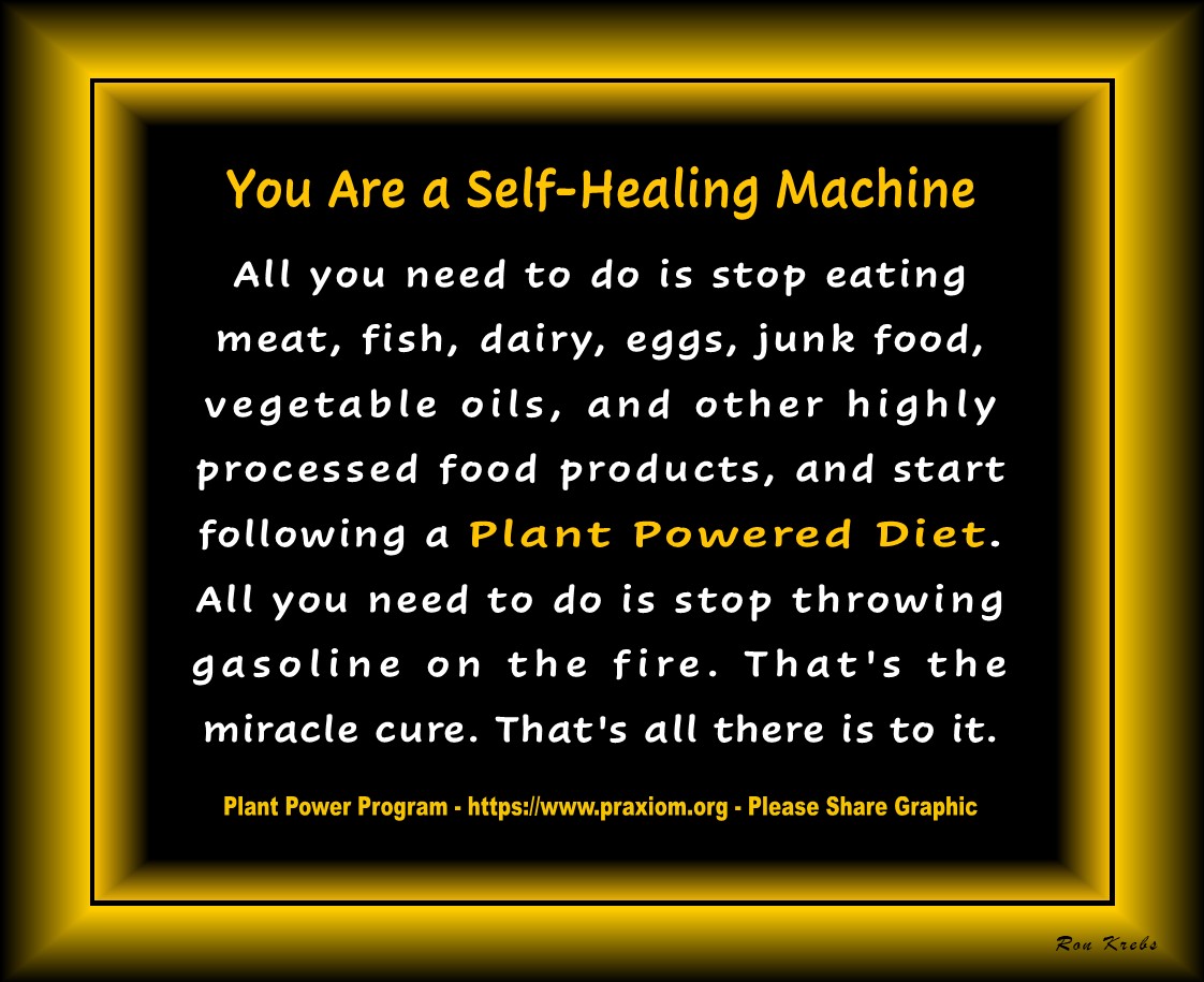 You are a
        self-healing machine